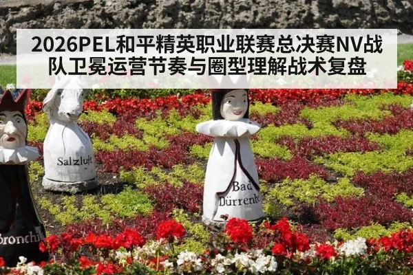 2026PEL和平精英职业联赛总决赛NV战队卫冕运营节奏与圈型理解战术复盘（hth）
